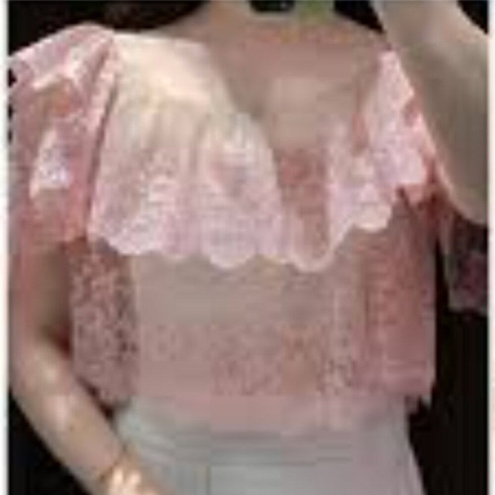 Zara Embroidered Ruffle Top NWT - Picture 12 of 15